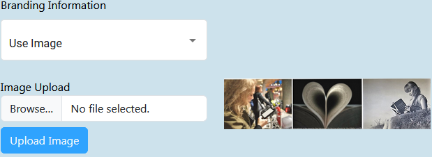 Branding Information Options - Use Image