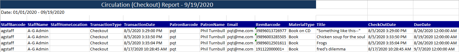 Circulation Transactions Audit Report