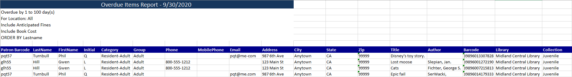 Overdue Items Report